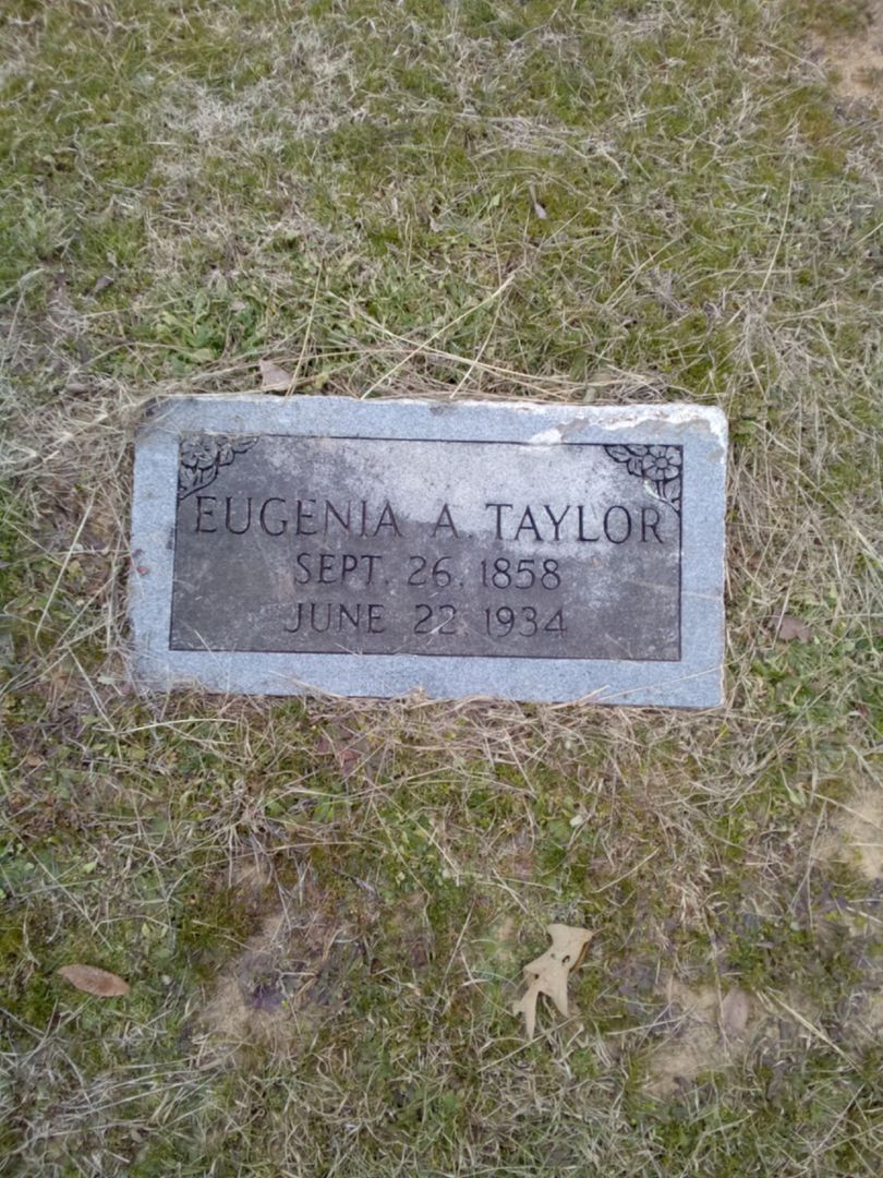 Eugenia A. Taylor's grave. Photo 1